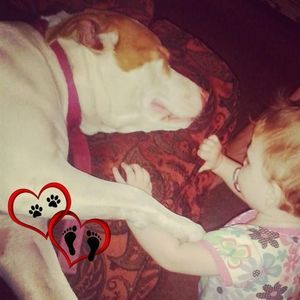 Meet your Posher, Emilee